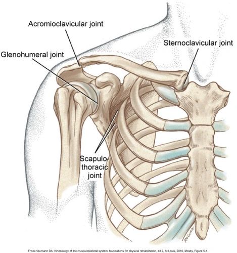 Intro to Shoulder Conditions